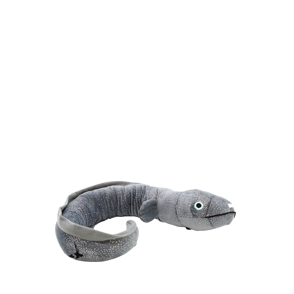 Ellie the Eel