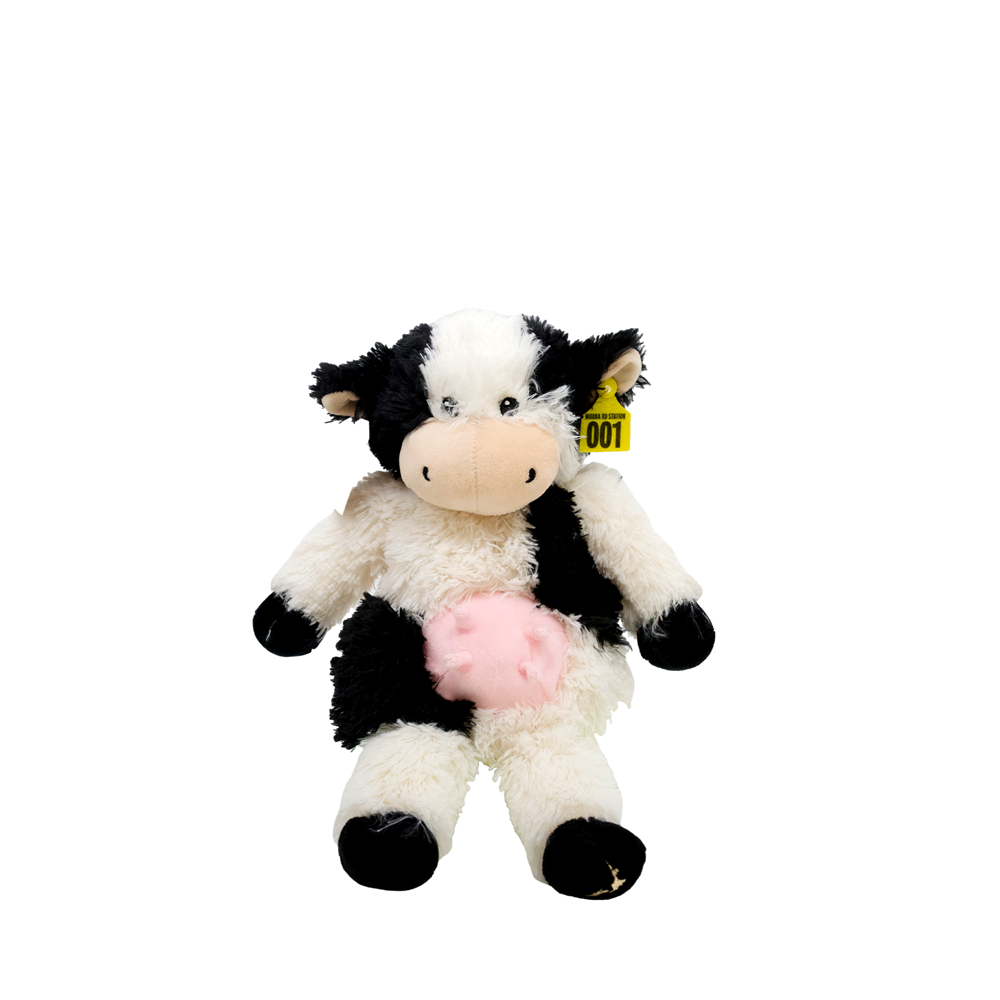 Daisey the cow