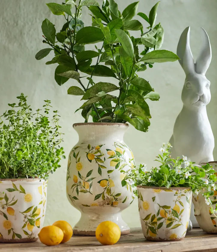 Botanical Lemon Urn