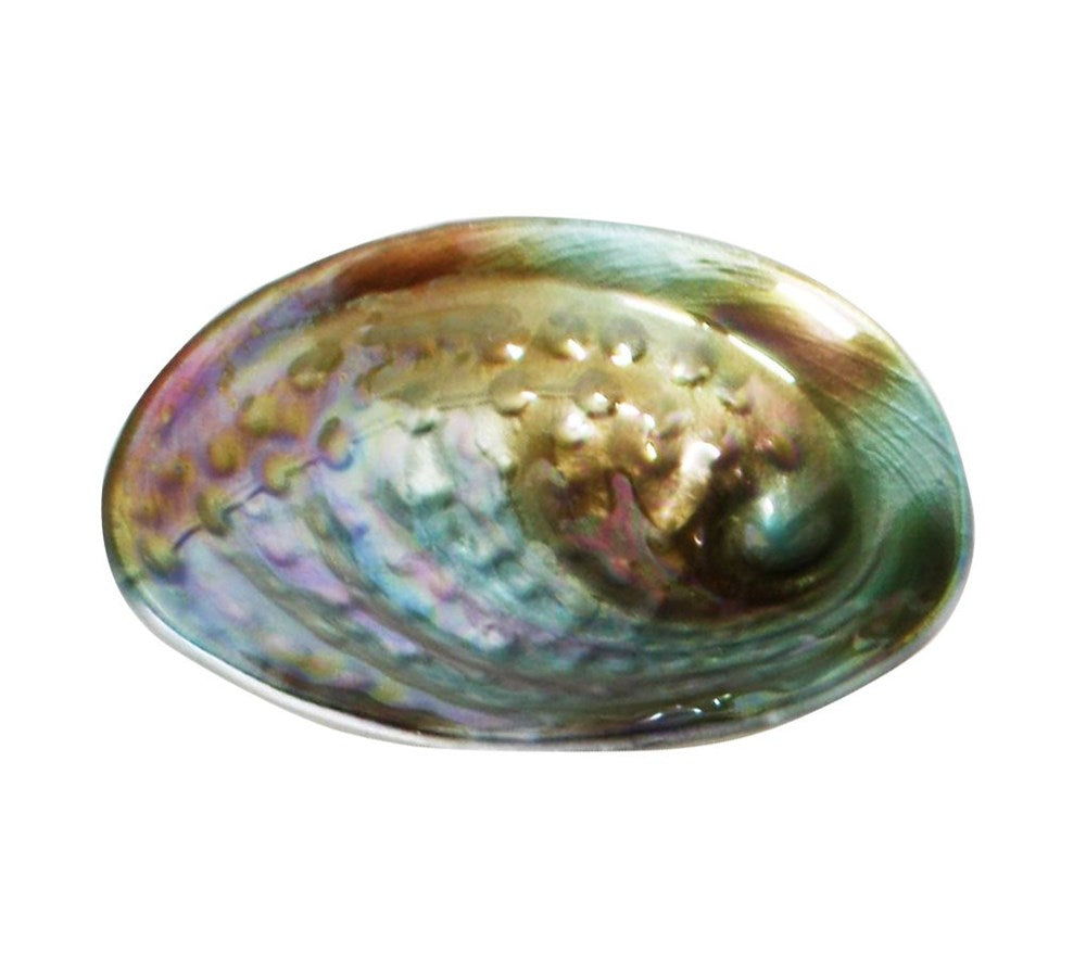 Paua Bowl - Glass