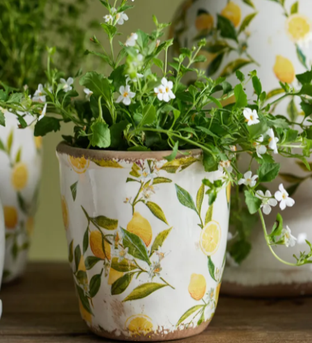 Botanical Lemon Pot Small