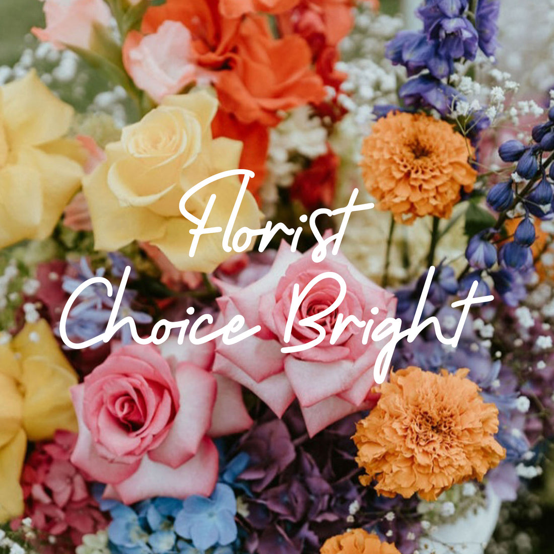 Florist Choice Bright